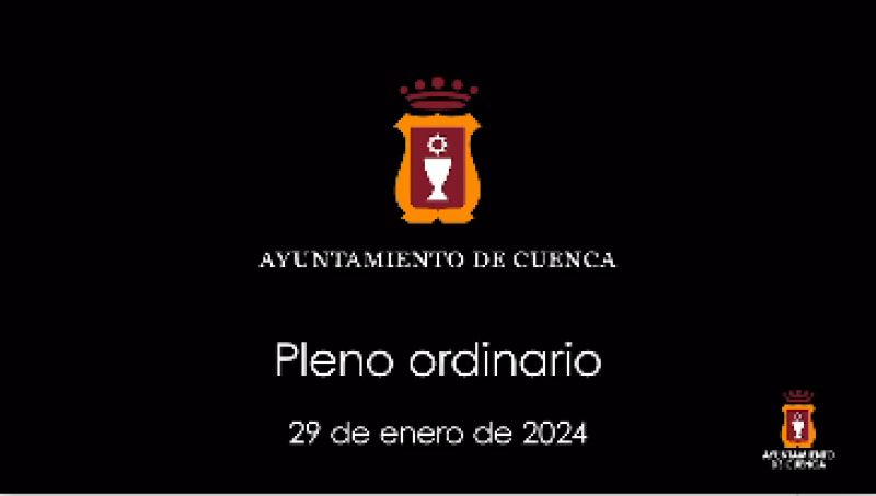 Plenos 2024